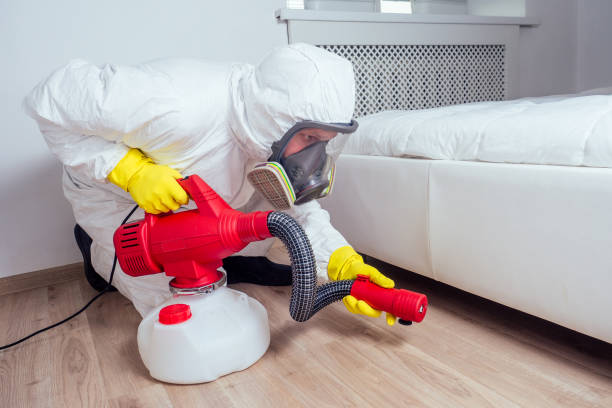 Best Residential Pest Control  in Lakewood, IL