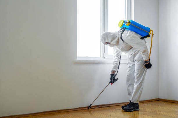 Best Mosquito Control Services  in Lakewood, IL
