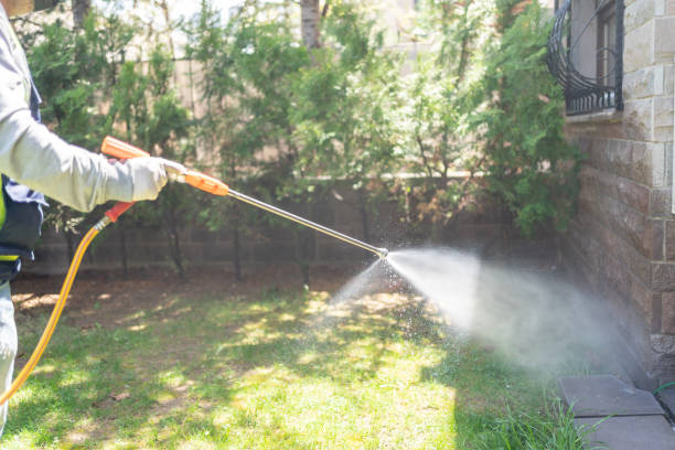 Pest Control for Restaurants in Lakewood, IL