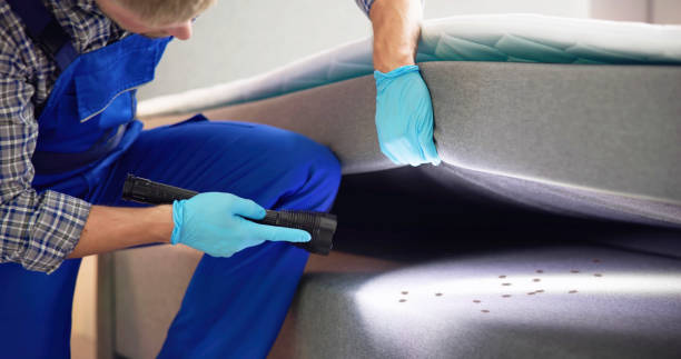 Best Rat Extermination Near Me  in Lakewood, IL