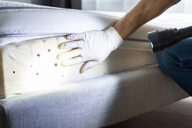 Best Pest Control for Businesses  in Lakewood, IL