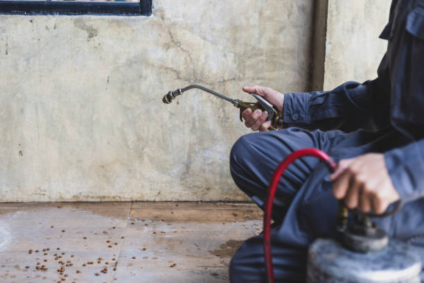 Best Exterminator Services  in Lakewood, IL